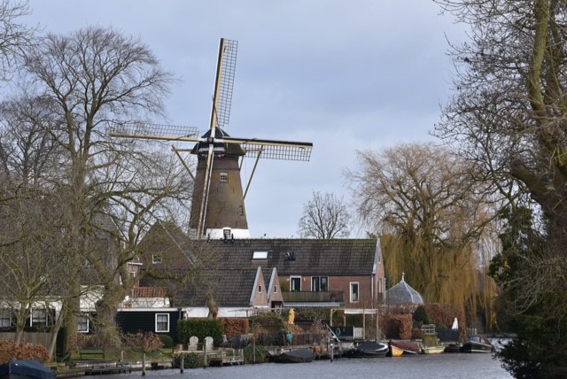 Molen